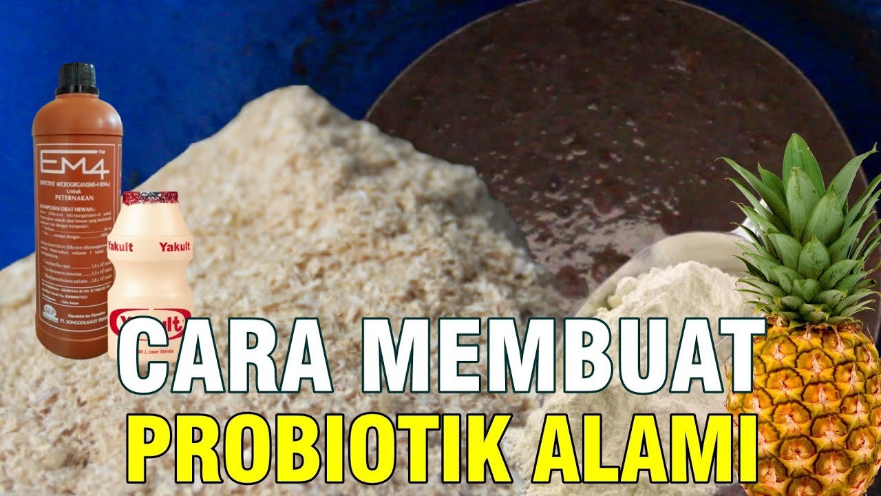 
                                 Cara-Membuat-Probiotik-Pakan-Ternak-Bahan-Fermentasi